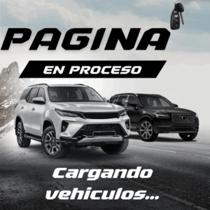 Pagina en Proceso